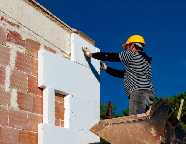 Best Blown-in Insulation  in Enfield, NC