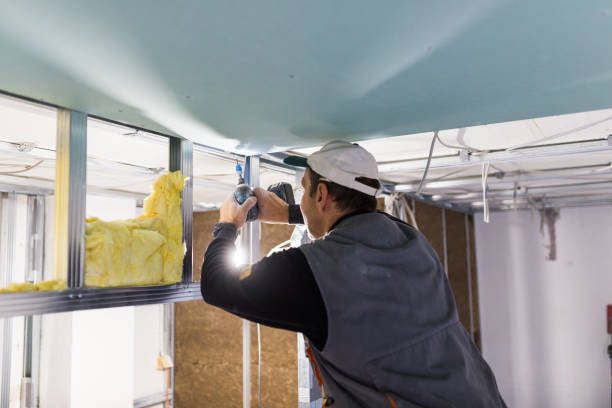 Best Insulation Contractor Near Me  in Enfield, NC