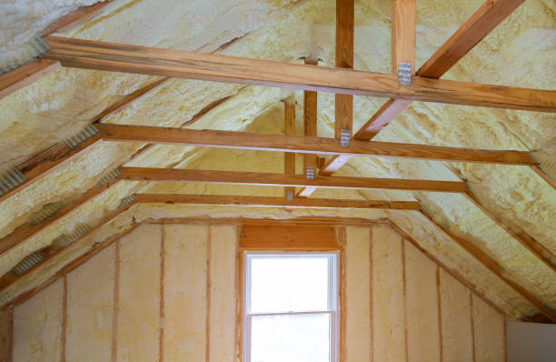 Best Home Insulation Services  in Enfield, NC