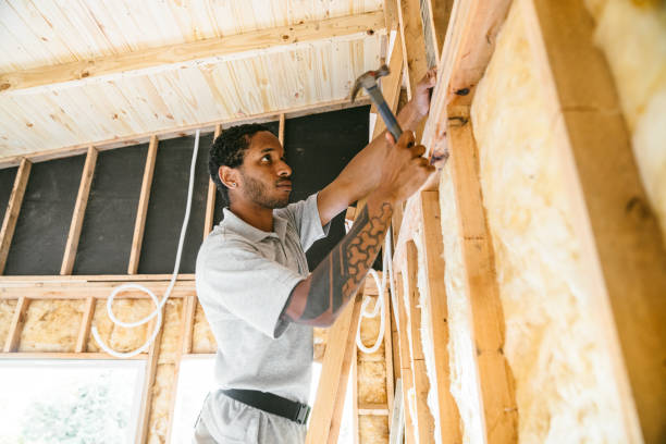 Best Attic Insulation Installation  in Enfield, NC
