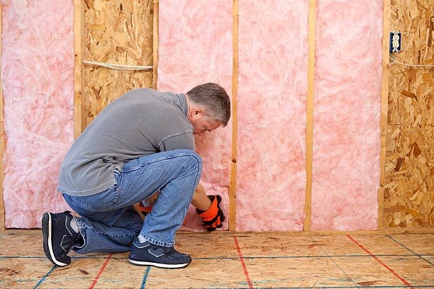 Best Insulation Inspection Services  in Enfield, NC