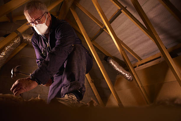 Best Professional Insulation Contractor  in Enfield, NC
