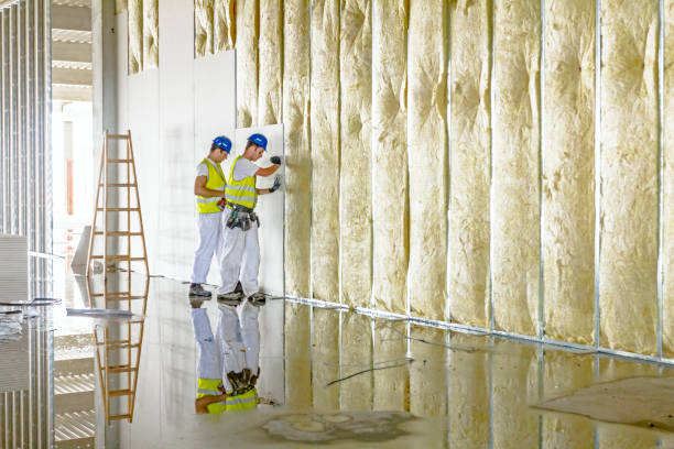 Best Soundproof Insulation Installation  in Enfield, NC